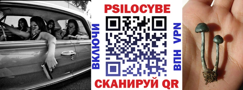 Галлюциногенные грибы Cubensis  где купить наркоту  Ржев 
